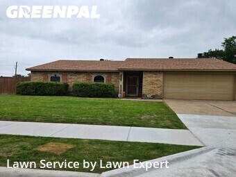 Grass Cuttingin The Colony,75056,Lawn Cut by Lawn Expert, work completed in Jun , 2026