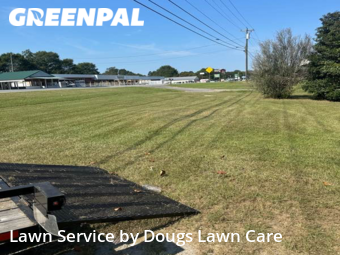 Yard Cutting nearby Bowdon, GA, 