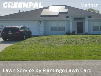 Lawn Cut nearby Cape Coral, FL, 