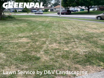 Yard Cutting nearby Joliet, IL, 