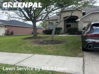 Grass Cut nearby League City, TX, 