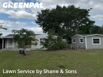 Lawn Cut nearby St. Petersburg, FL, 