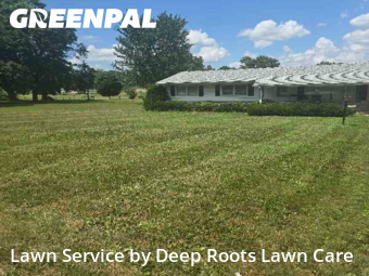 Yard Mowing nearby Springfield, MO, 