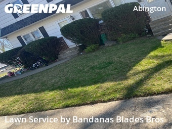 Grass Cut nearby Abington Township, PA, 