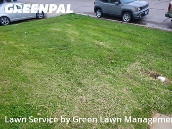 Lawn Maintenance nearby St. Louis, IL, 