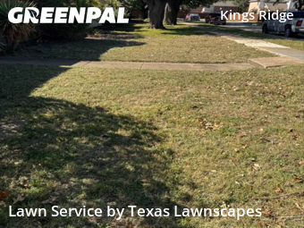 Local Lawn And Landscape Maintenance Services Near Me In Frisco,75035,Landscaping Renovation by Texas Lawnscapes, work completed in Dec , 2025