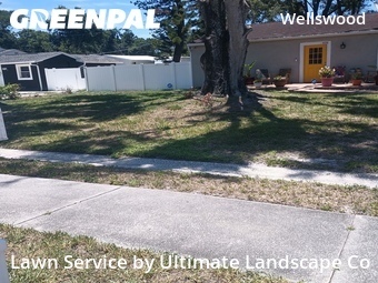 Lawn Cut nearby Tampa, FL, 
