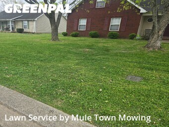 Grass Cutting nearby Murfreesboro, TN, 