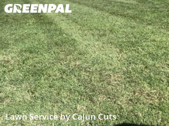 Yard Mowing nearby Murfreesboro, TN, 