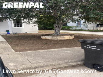 Lawn Cutting nearby San Antonio, TX, 