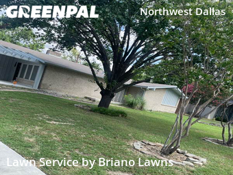 Lawn Maintenance nearby Dallas, TX, 
