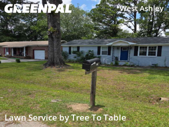 Lawn Maintenance nearby Charleston, SC, 