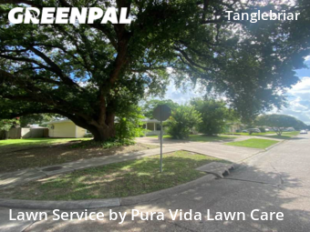 Lawn Mow nearby Pasadena, TX, 