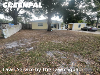 Grass Cuttingin Clearwater,33755,Lawn Cut by The Lawn Squad, work completed in Jan , 2026