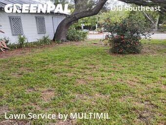Residential Landscaping In St. Petersburg,33705,Landscape Design by MULTIMIL , work completed in Jul , 2026