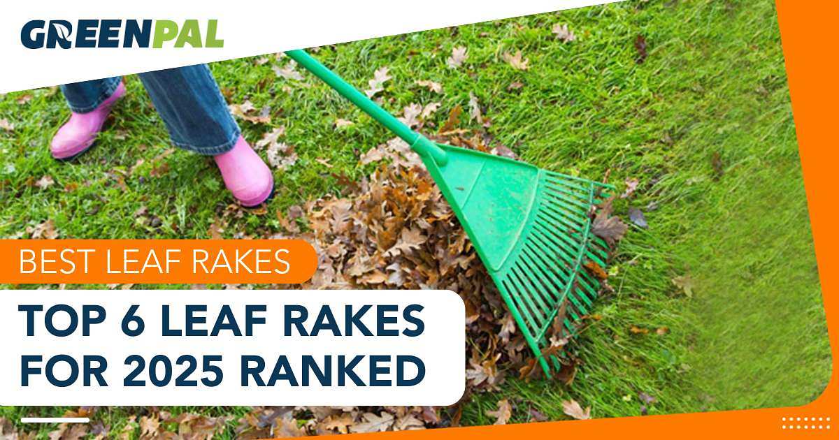Best Leaf Rakes of 2026: Top 6 for Fall Yard Cleanup | GreenPal