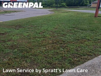 Lawn Mow nearby Hendersonville, TN, 