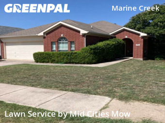 Grass Cut nearby Fort Worth, TX, 