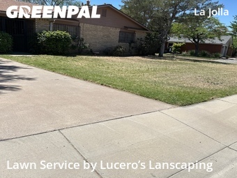 Lawn Cutting nearby Albuquerque, NM, 