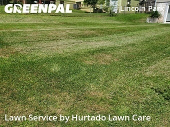 Lawn Service nearby Knoxville, TN, 