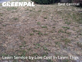 Lawn mowed in Spokane, 99202