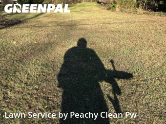 Lawn Cut nearby Hiram, GA, 