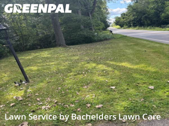 Lawn Cut nearby Mansfield, OH, 