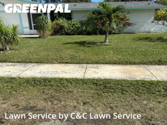 Lawn Management in Rockledge, 32955, Lawn Care by C&C Lawn Service, work completed in Nov , 2025