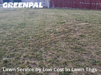 Lawn Care nearby Spokane Valley, WA, 