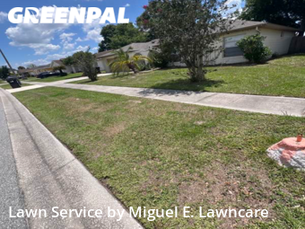 Lawn Care nearby Orlando, FL, 