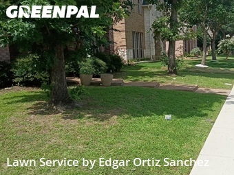 Yard Mowing nearby Mc Kinney, TX, 