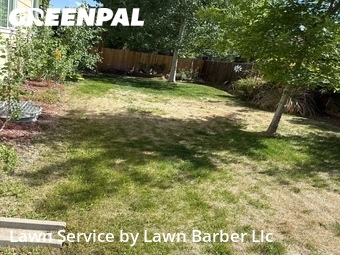 Yard Cutting nearby Timnath, CO, 