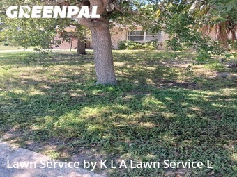 Lawn Cut nearby Seminole, FL, 