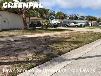 Lawn Cut nearby Largo, FL, 