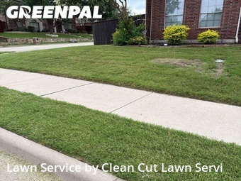 Lawn Service nearby Rockwall, TX, 