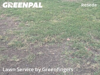Lawn Maintenance nearby Los Angeles, CA, 