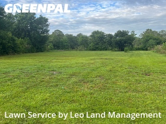 Lawn Mowingin Lakeland,33809,Lawn Mowing by Leo Land Management , work completed in Jun , 2026