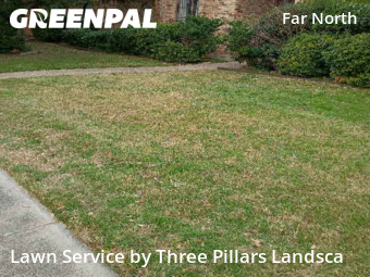 Lawn mowed in Dallas, 75248