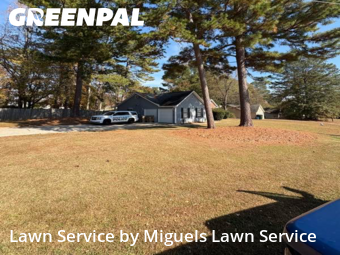 Lawn Cutting nearby Jonesboro, GA, 