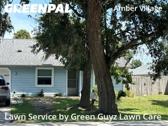 Grass Cut nearby Port Orange, FL, 