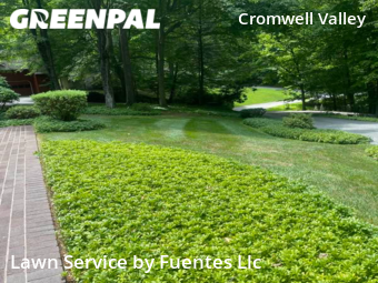 Lawn Maintenance nearby Towson, MD, 