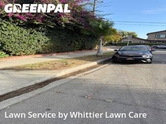 Lawn Care nearby Downey, CA, 