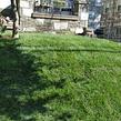 affordable-lawn-services-in-Millcreek Township-PA