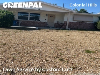 Yard Cutting nearby Port Richey, FL, 