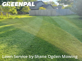 Lawn Care Service nearby Champaign, IL, 
