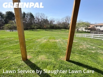 Grass Cut nearby Powell, TN, 