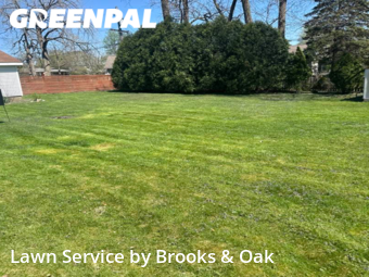 Lawn Mowing nearby Wheaton, IL, 