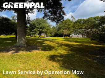 Grass Cutting nearby Akron, OH, 