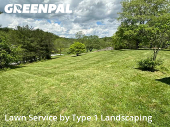 Lawn Mow nearby Leicester, NC, 