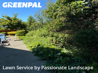 Lawn Mow nearby Tacoma, WA, 